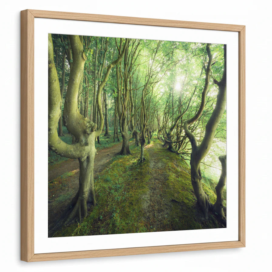 framed-print-natural-wood-white-border