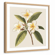 framed-print-natural-wood-white-border