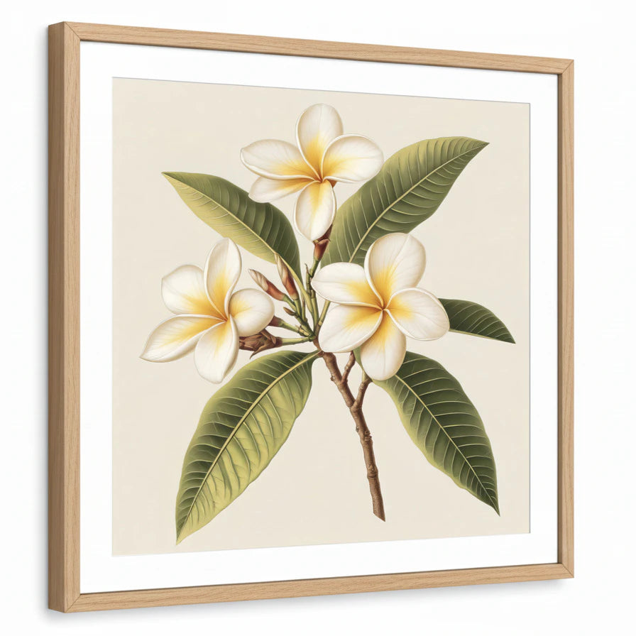 framed-print-natural-wood-white-border