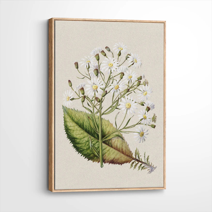 framed-canvas-natural-wood