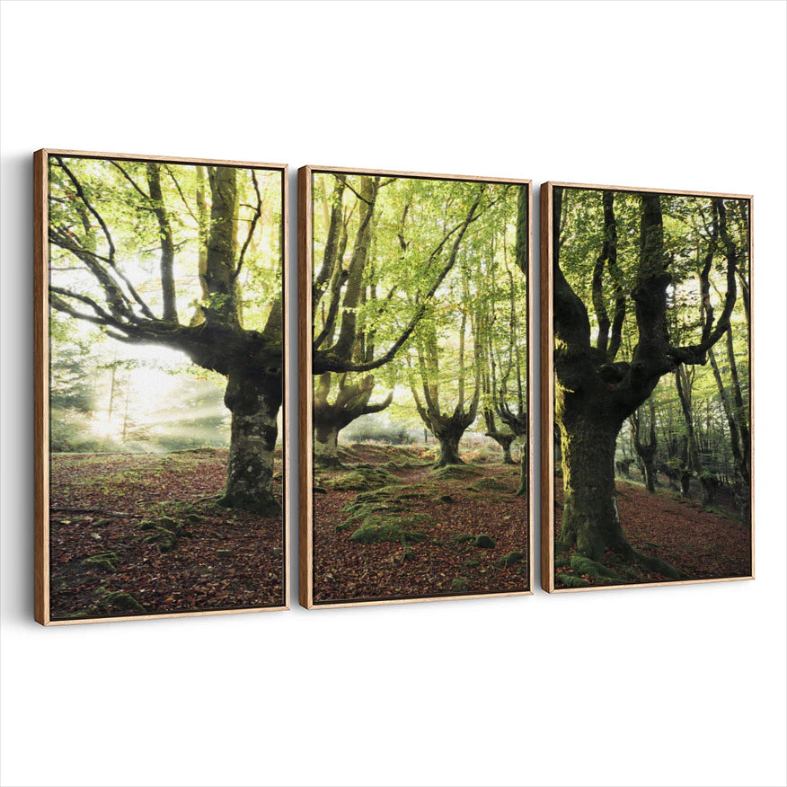 3-framed-print-natural-wood