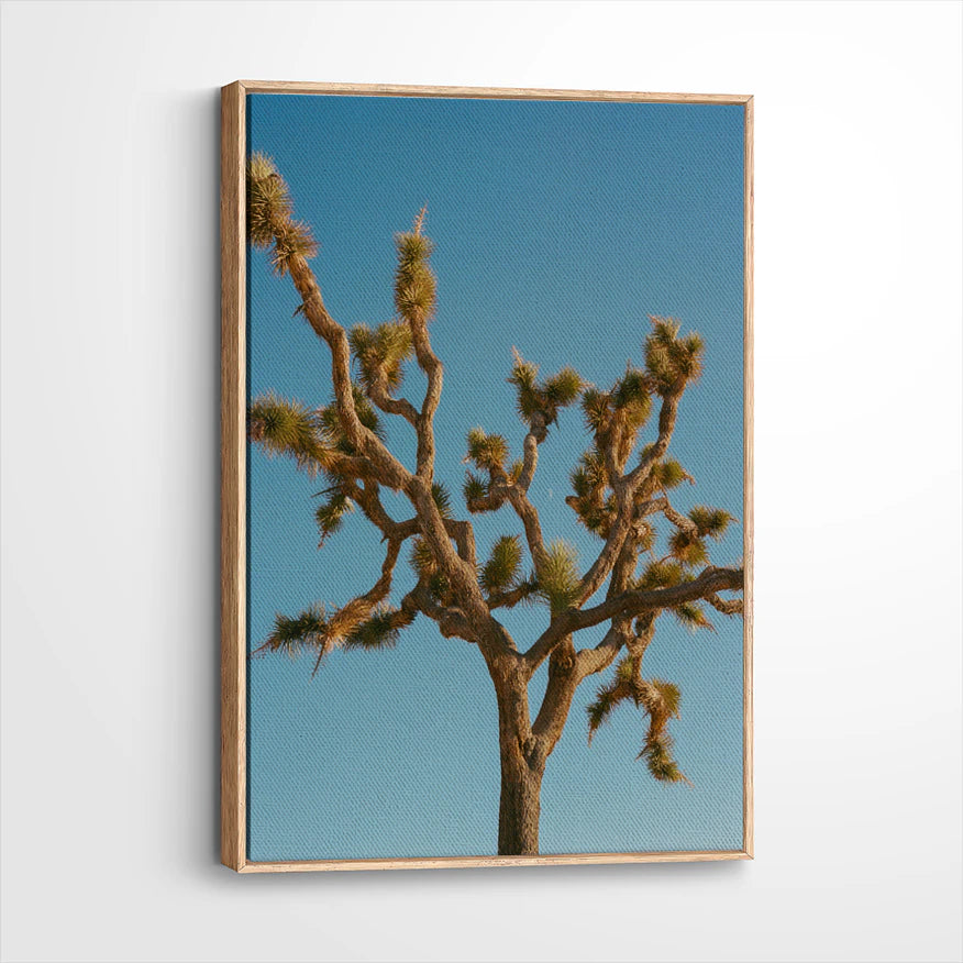 framed-canvas-natural-wood