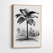 framed-canvas-natural-wood
