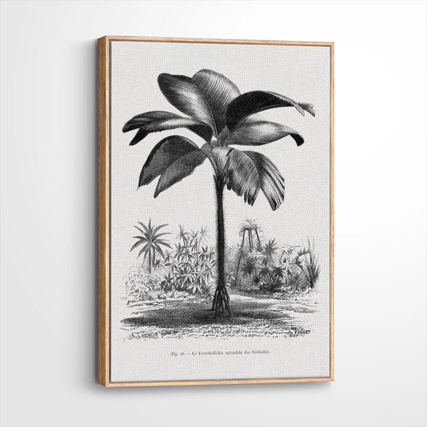 framed-canvas-natural-wood