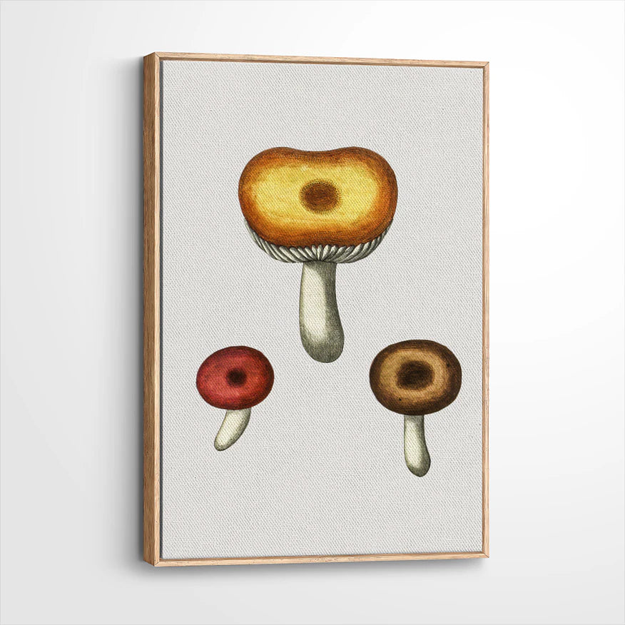 framed-canvas-natural-wood