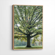 framed-canvas-natural-wood