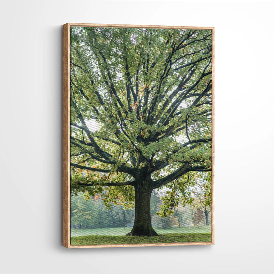 framed-canvas-natural-wood