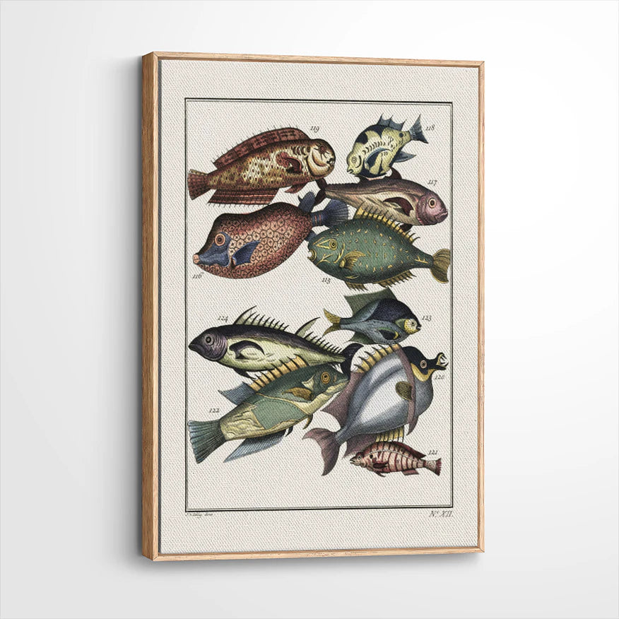 framed-canvas-natural-wood
