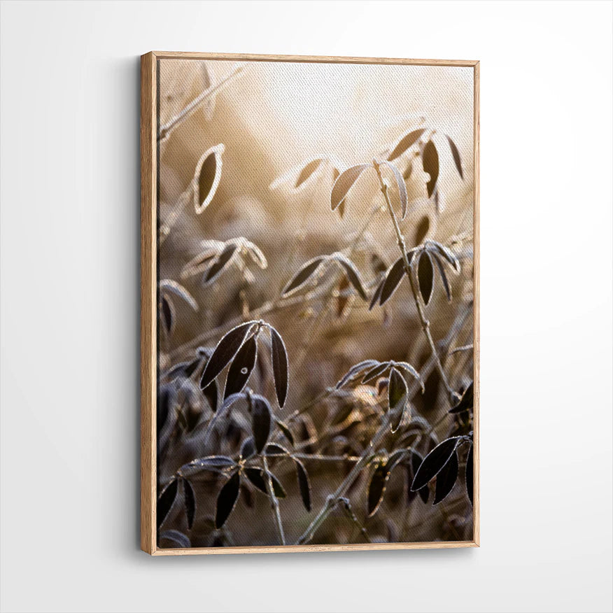 framed-canvas-natural-wood