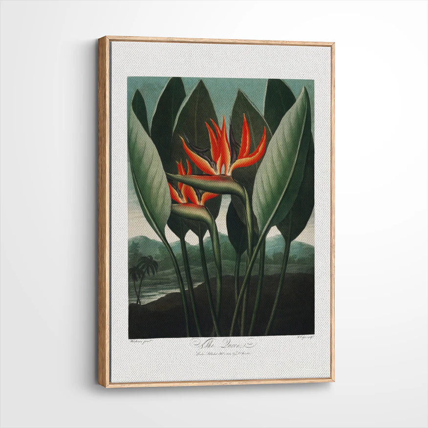 framed-canvas-natural-wood