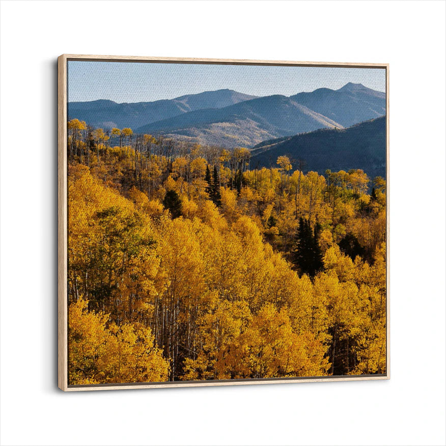 framed-canvas-natural-wood