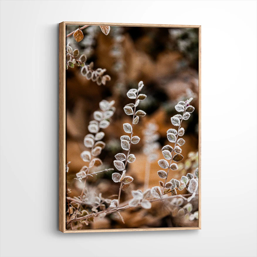 framed-canvas-natural-wood