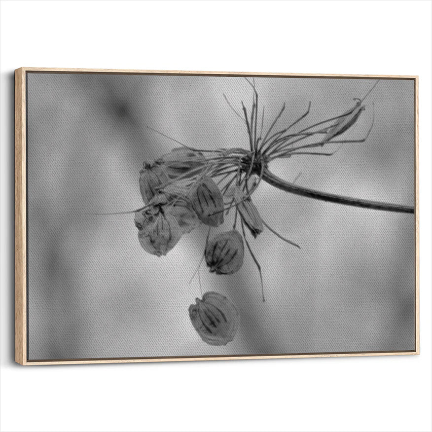 framed-canvas-natural-wood