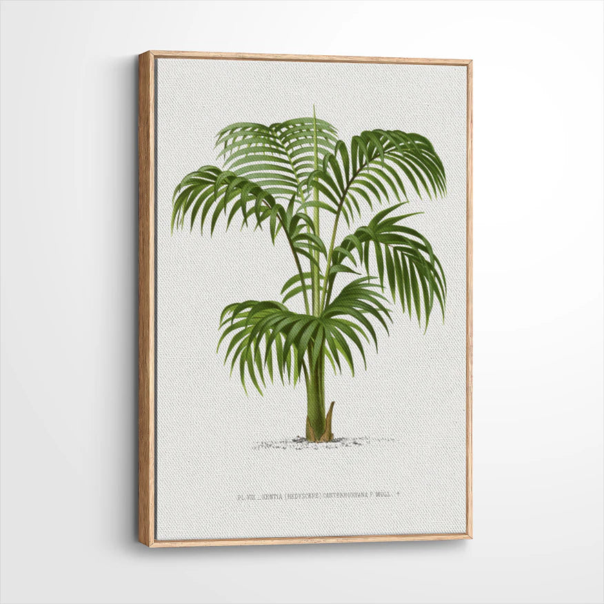 framed-canvas-natural-wood