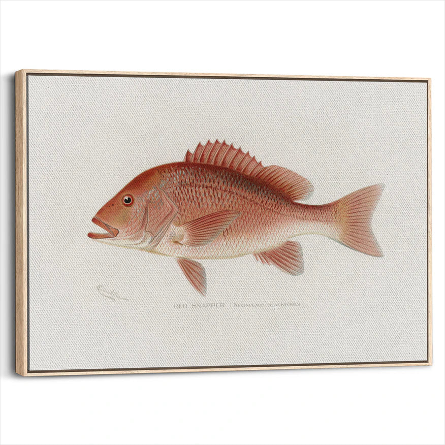 framed-canvas-natural-wood