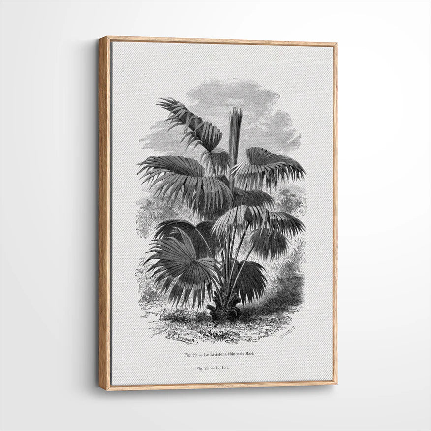 framed-canvas-natural-wood