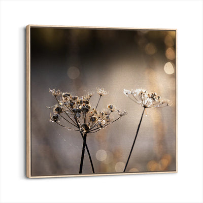 framed-canvas-natural-wood