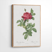 framed-canvas-natural-wood