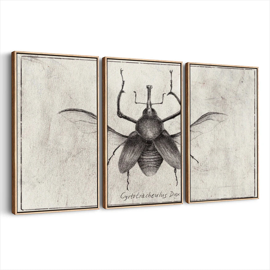 3-framed-canvas-natural-wood
