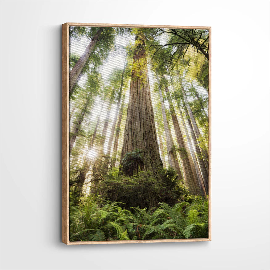 framed-canvas-natural-wood