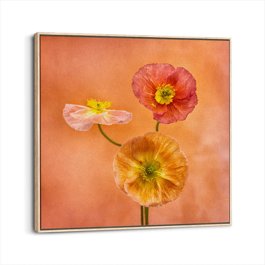 framed-canvas-natural-wood