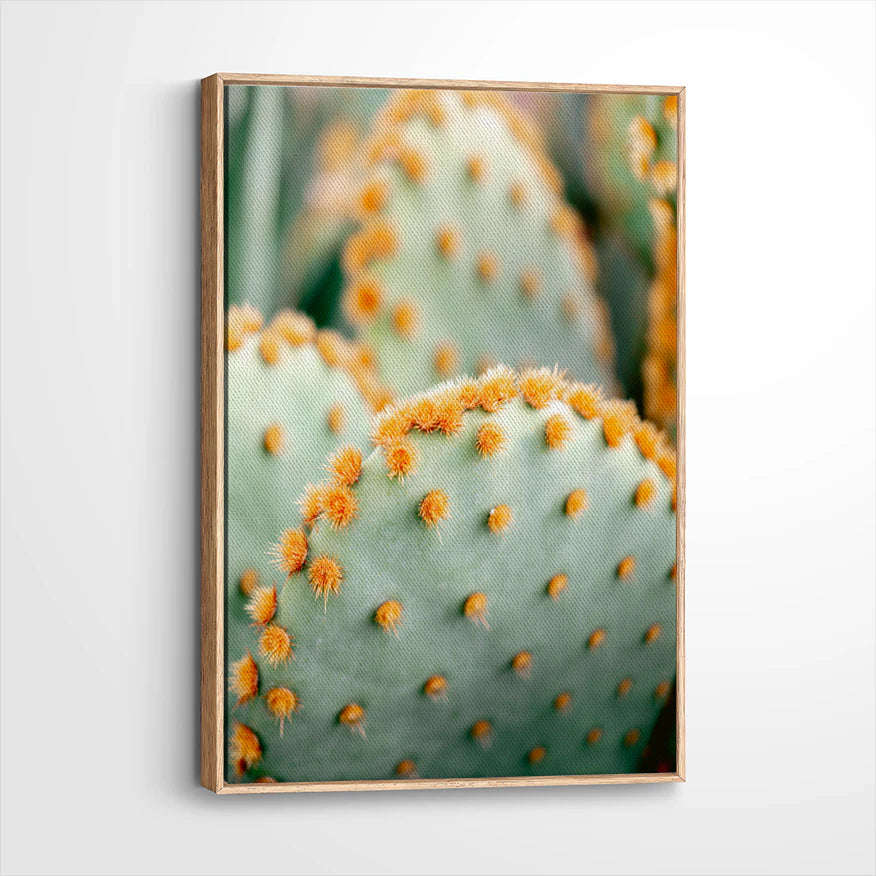 framed-canvas-natural-wood