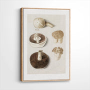 framed-canvas-natural-wood
