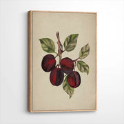 framed-canvas-natural-wood