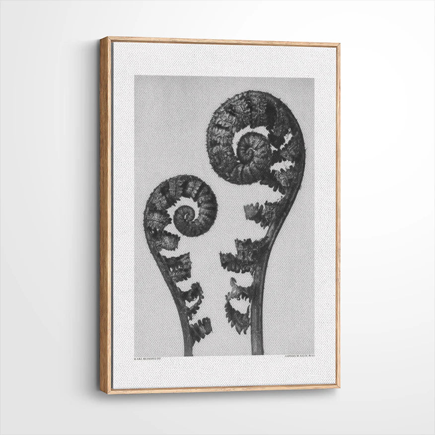 framed-canvas-natural-wood