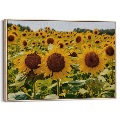 framed-canvas-natural-wood