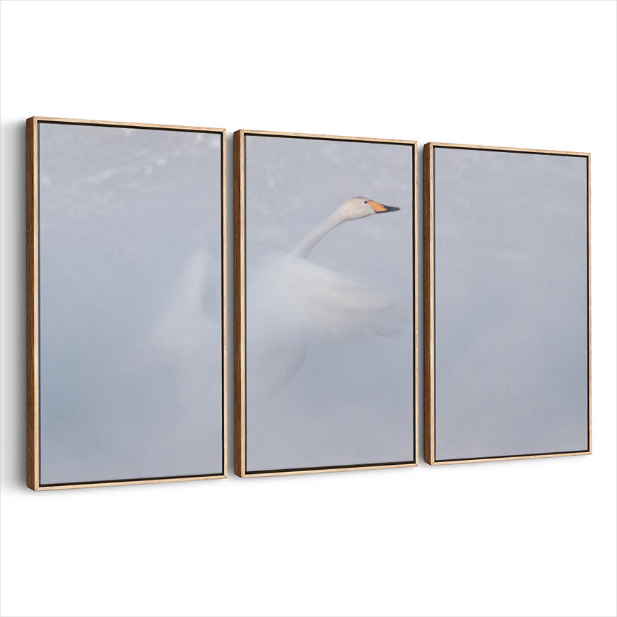 3-framed-print-natural-wood