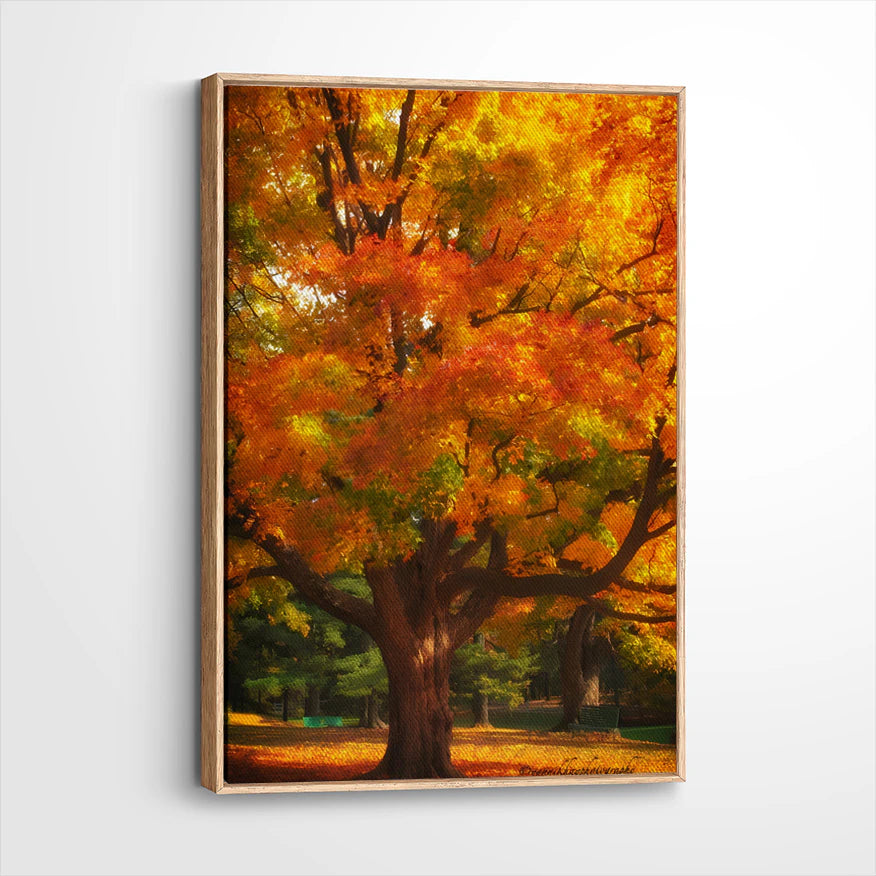 framed-canvas-natural-wood