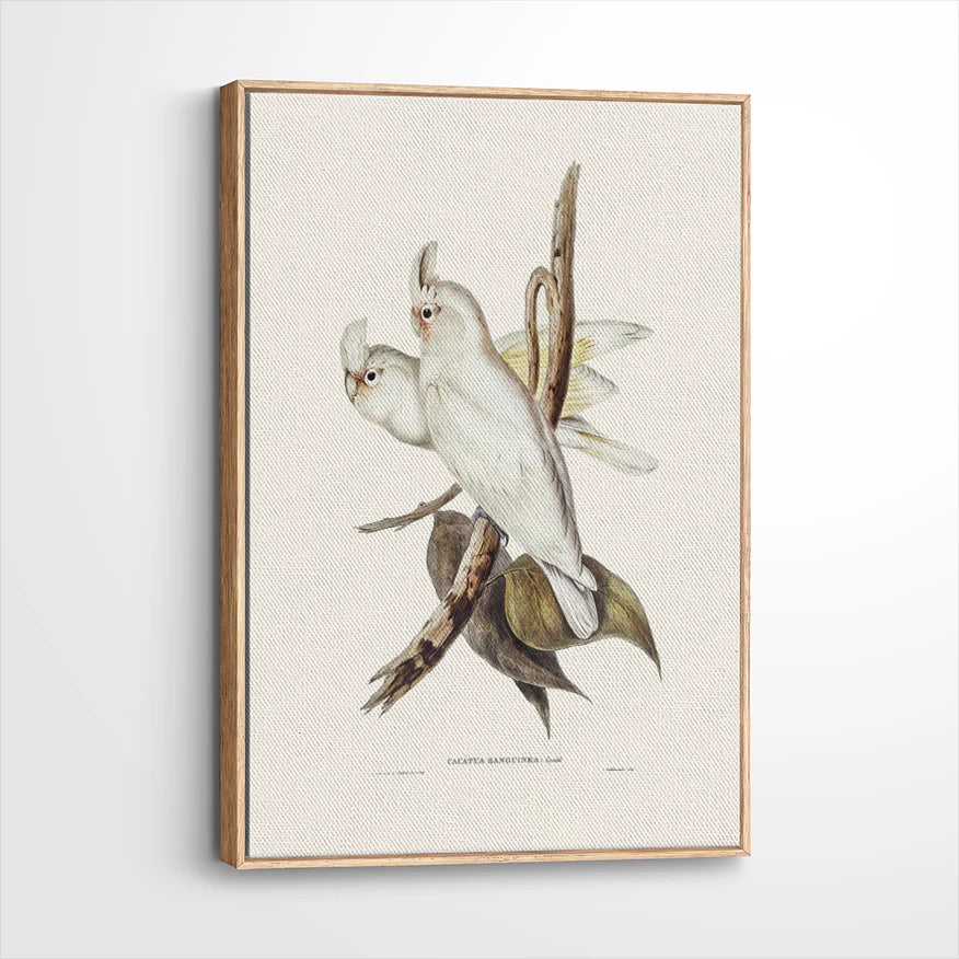 framed-canvas-natural-wood
