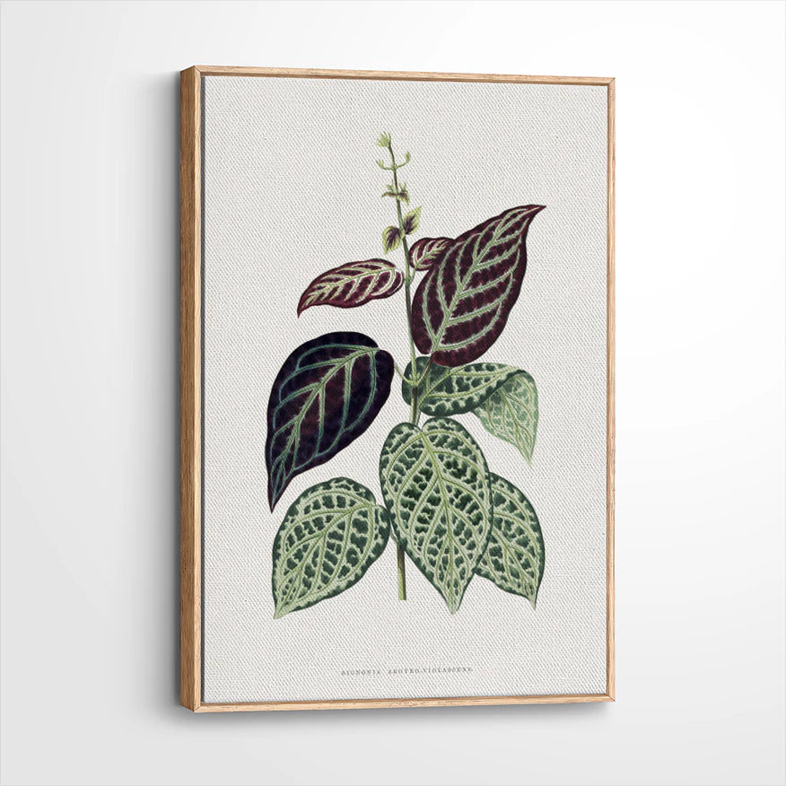 framed-canvas-natural-wood