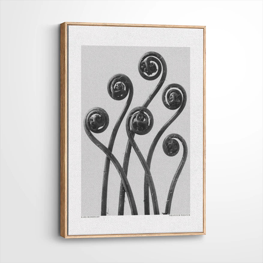 framed-canvas-natural-wood