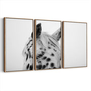 3-framed-canvas-natural-wood