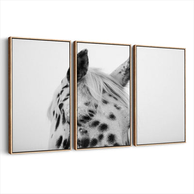 3-framed-canvas-natural-wood