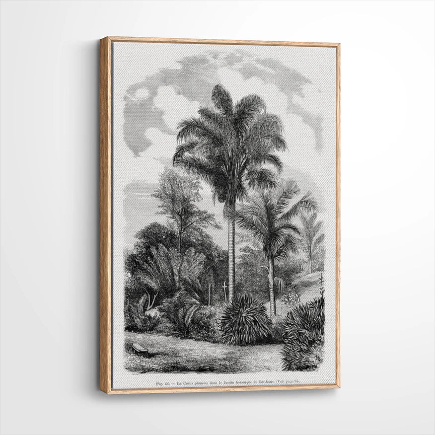 framed-canvas-natural-wood