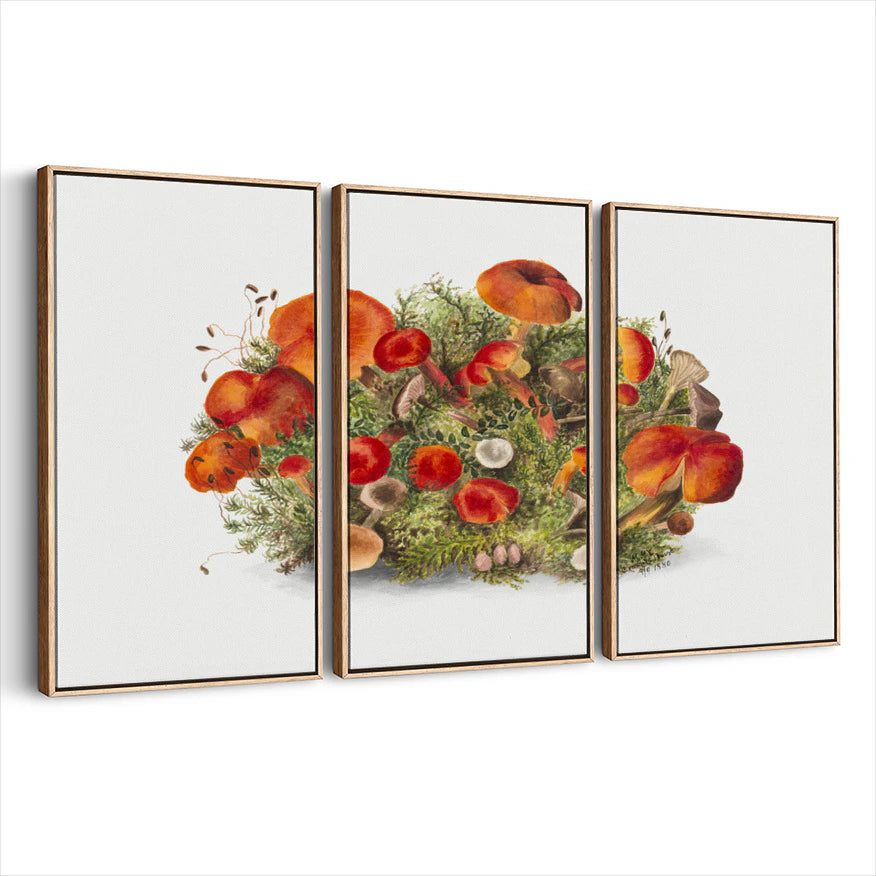 3-framed-canvas-natural-wood