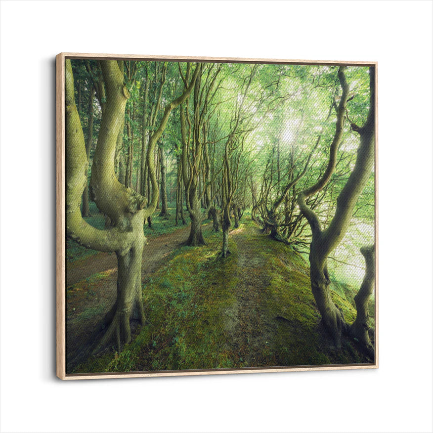 framed-canvas-natural-wood