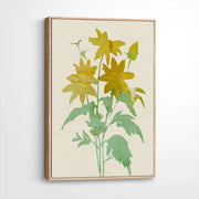 framed-canvas-natural-wood