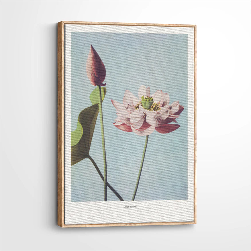 framed-canvas-natural-wood