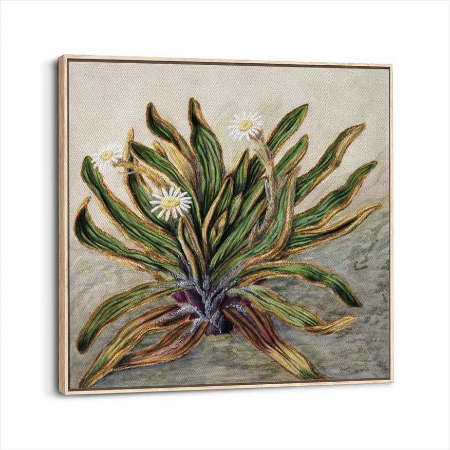framed-canvas-natural-wood
