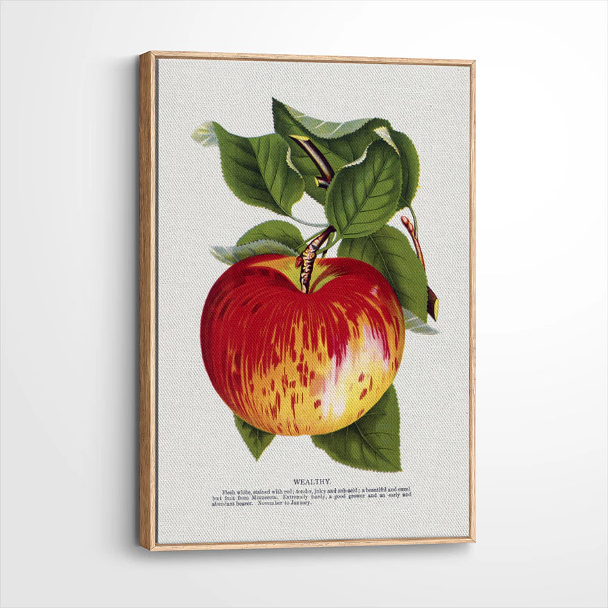 framed-canvas-natural-wood