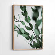 framed-canvas-natural-wood