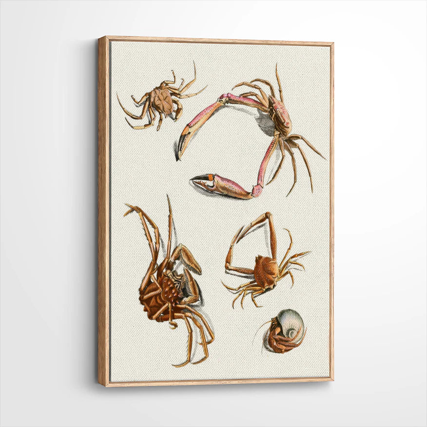 framed-canvas-natural-wood