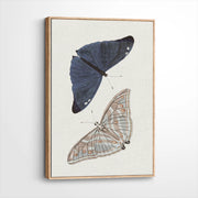 framed-canvas-natural-wood
