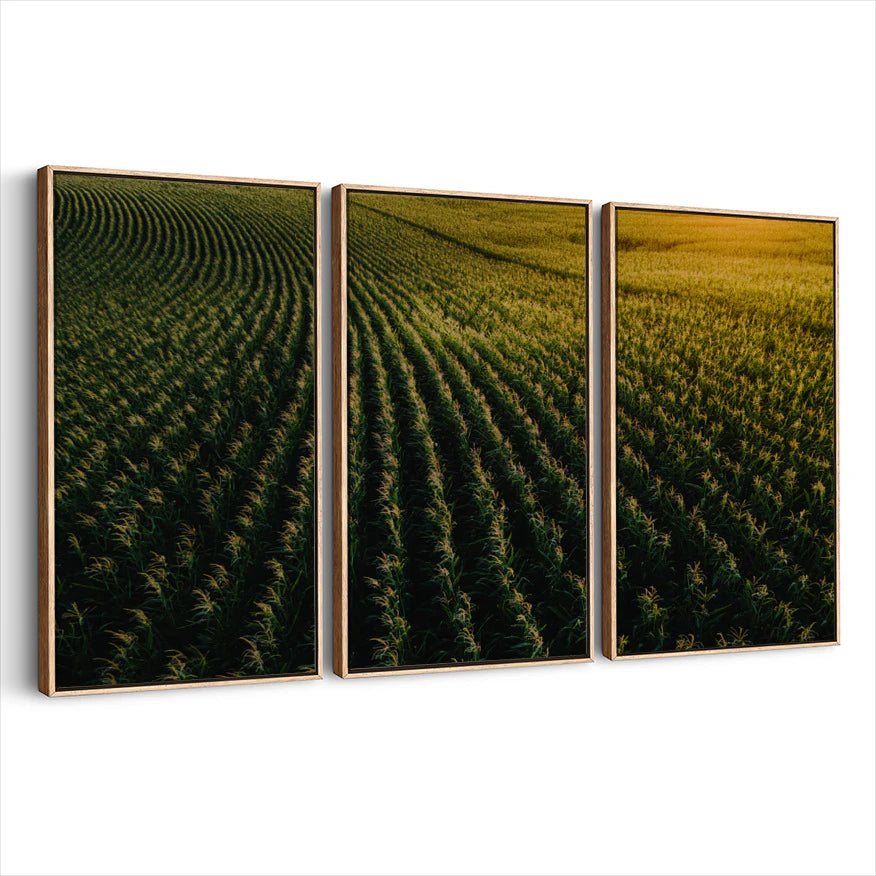 3-framed-print-natural-wood