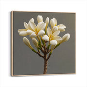 framed-canvas-natural-wood