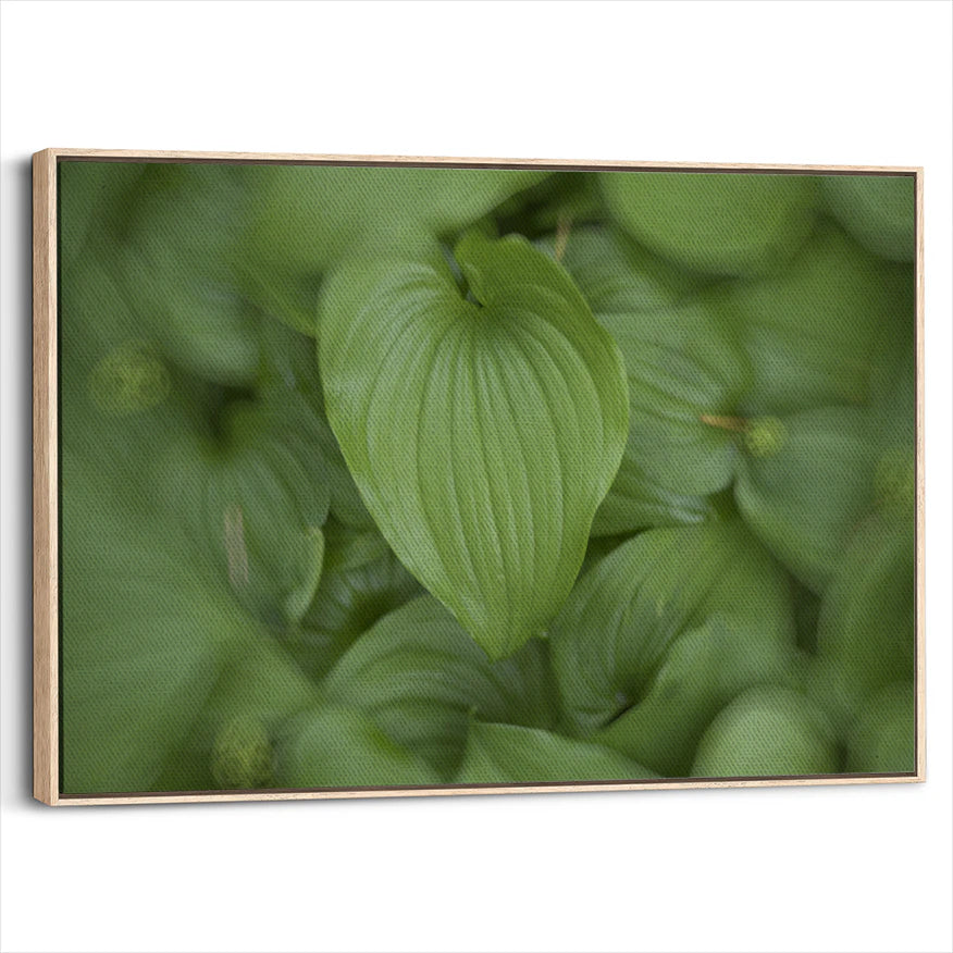 framed-canvas-natural-wood
